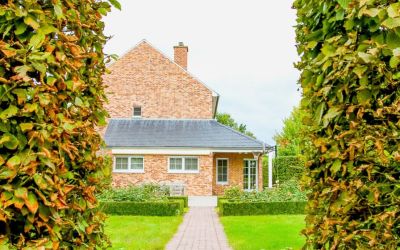 Realisaties - Green Art tuinarchitectuur